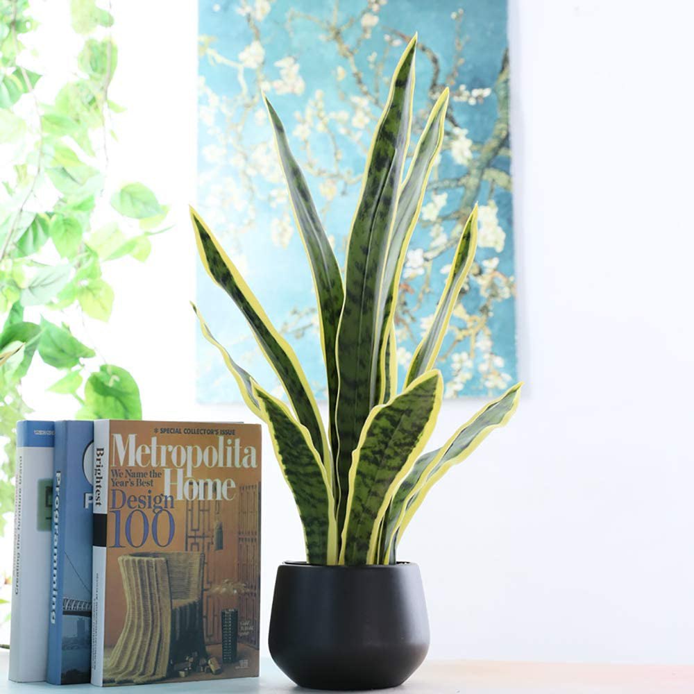 Artificial Snake Plant
