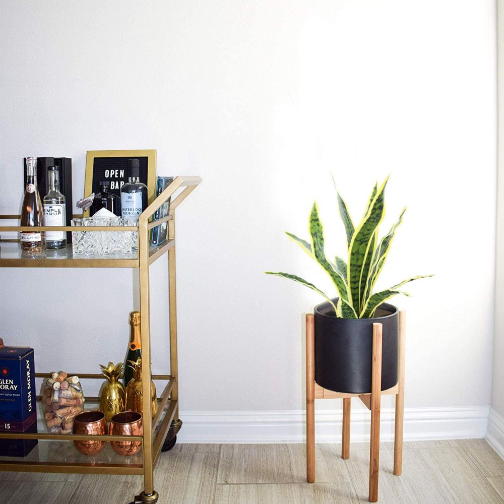Artificial Snake Plant