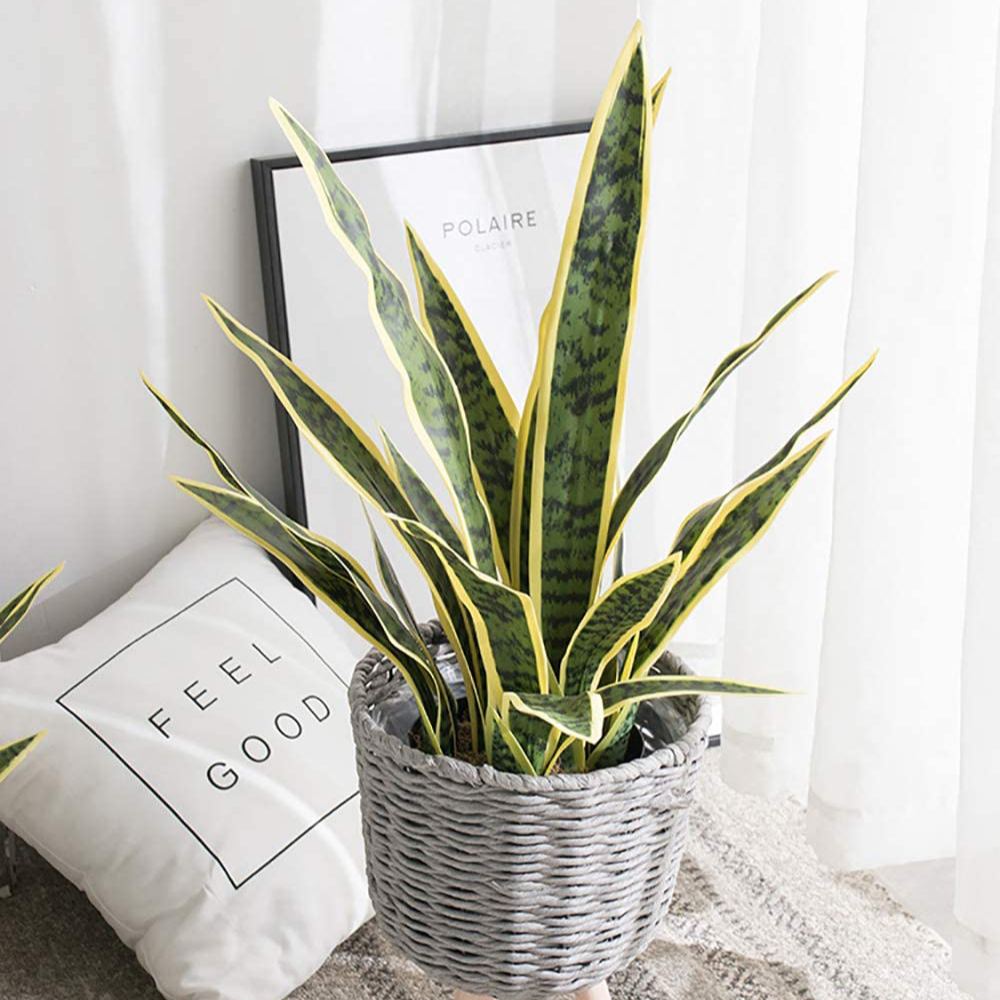 Artificial Snake Plant