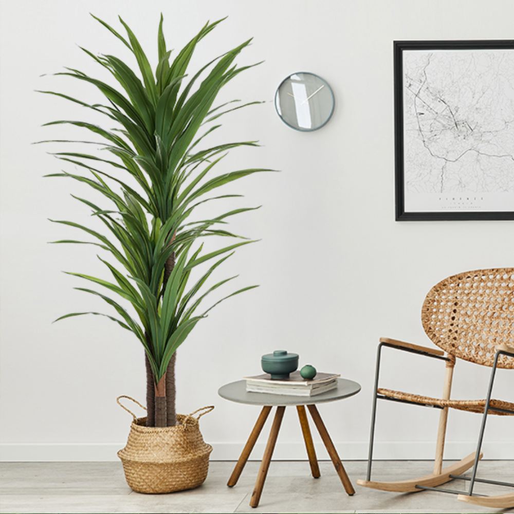 Artificial Dracaena Indoor Plant