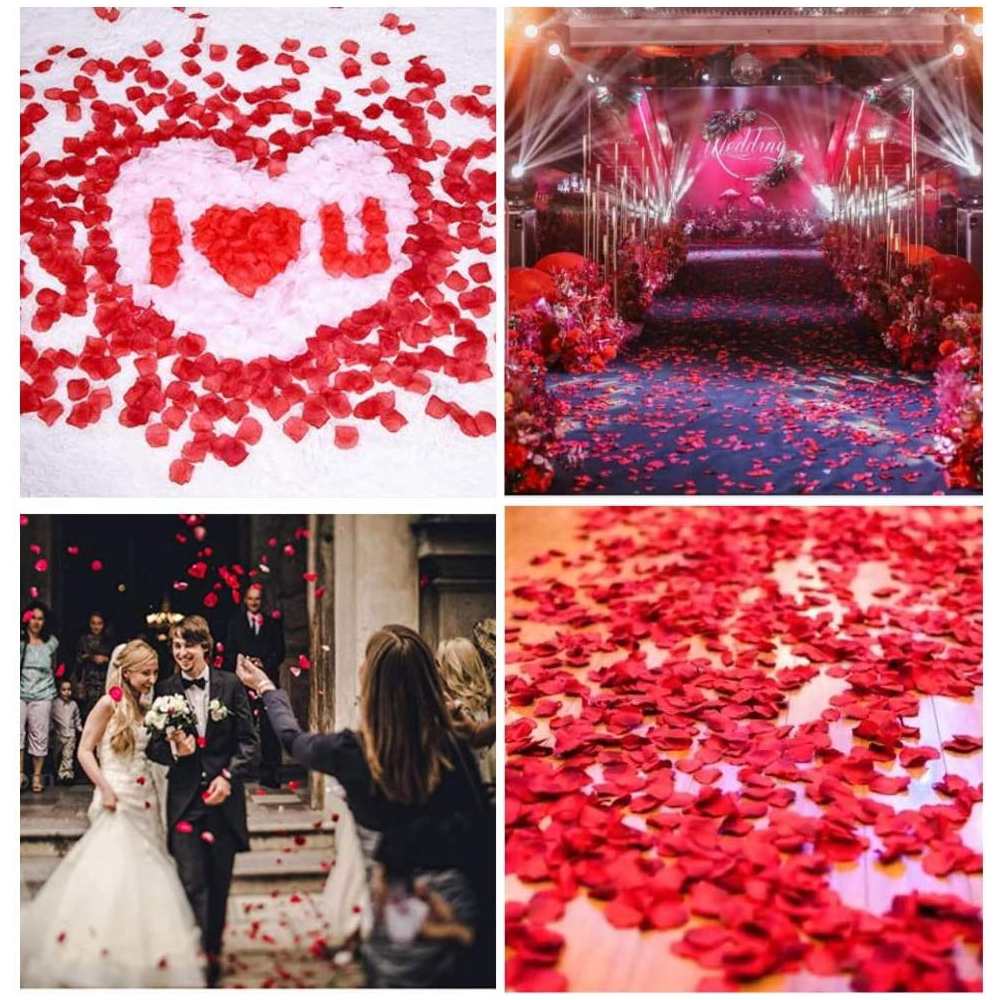 Artificial Rose Petals: image 6