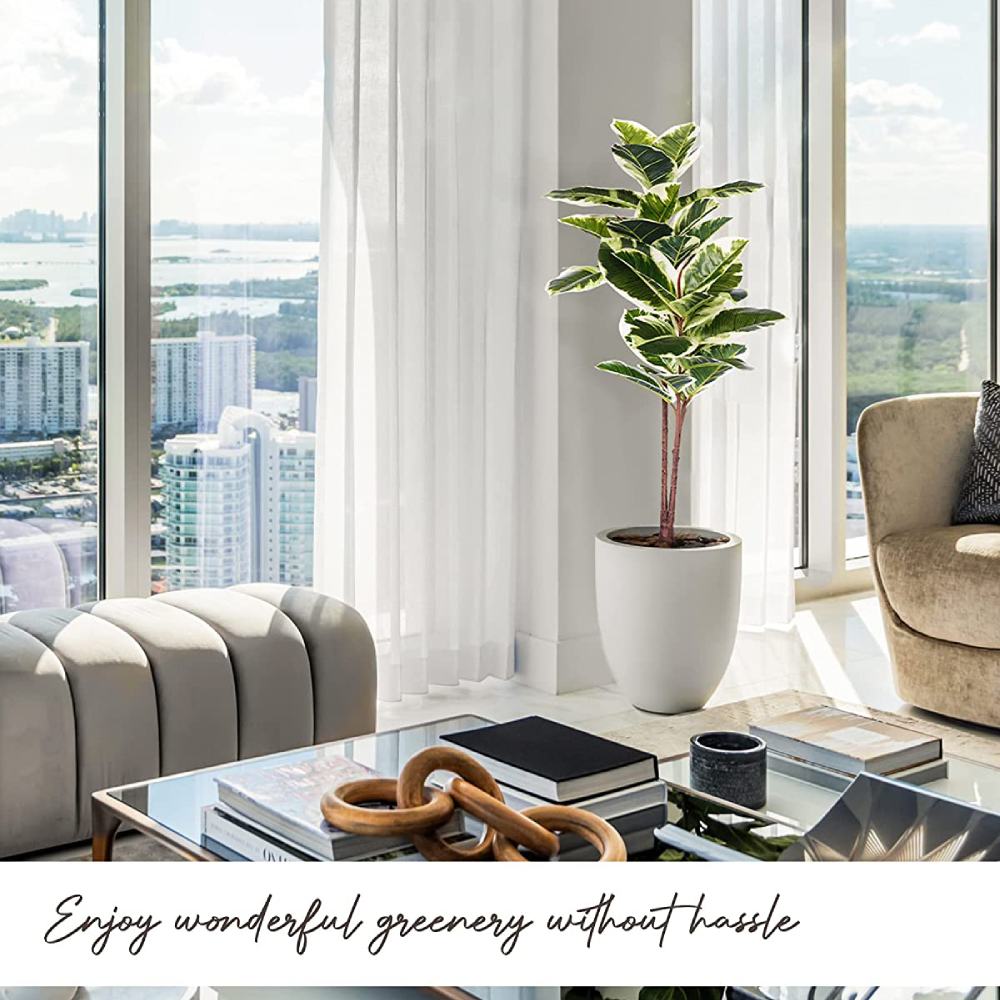 Artificial Rubber Tree Plant: image 7