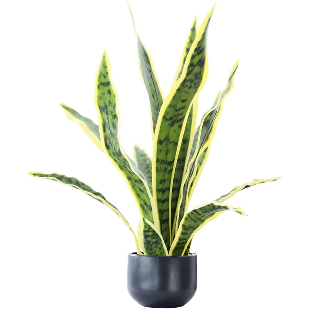 Artificial Snake Plant: image 2