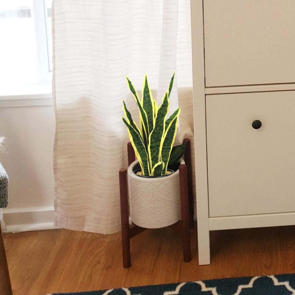 Artificial Snake Plant: image 4