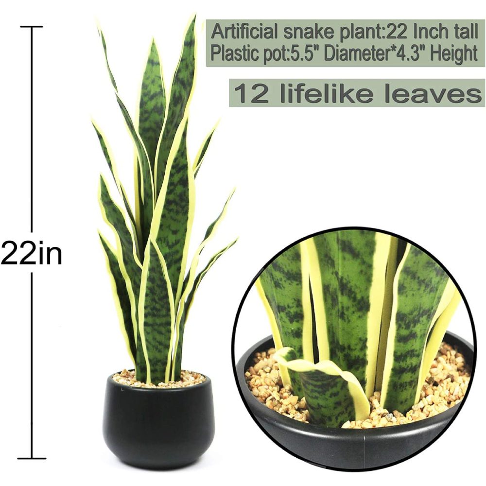 Artificial Snake Plant: image 8