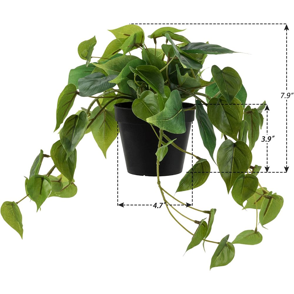 Artificial Lucky Greenery: image 6