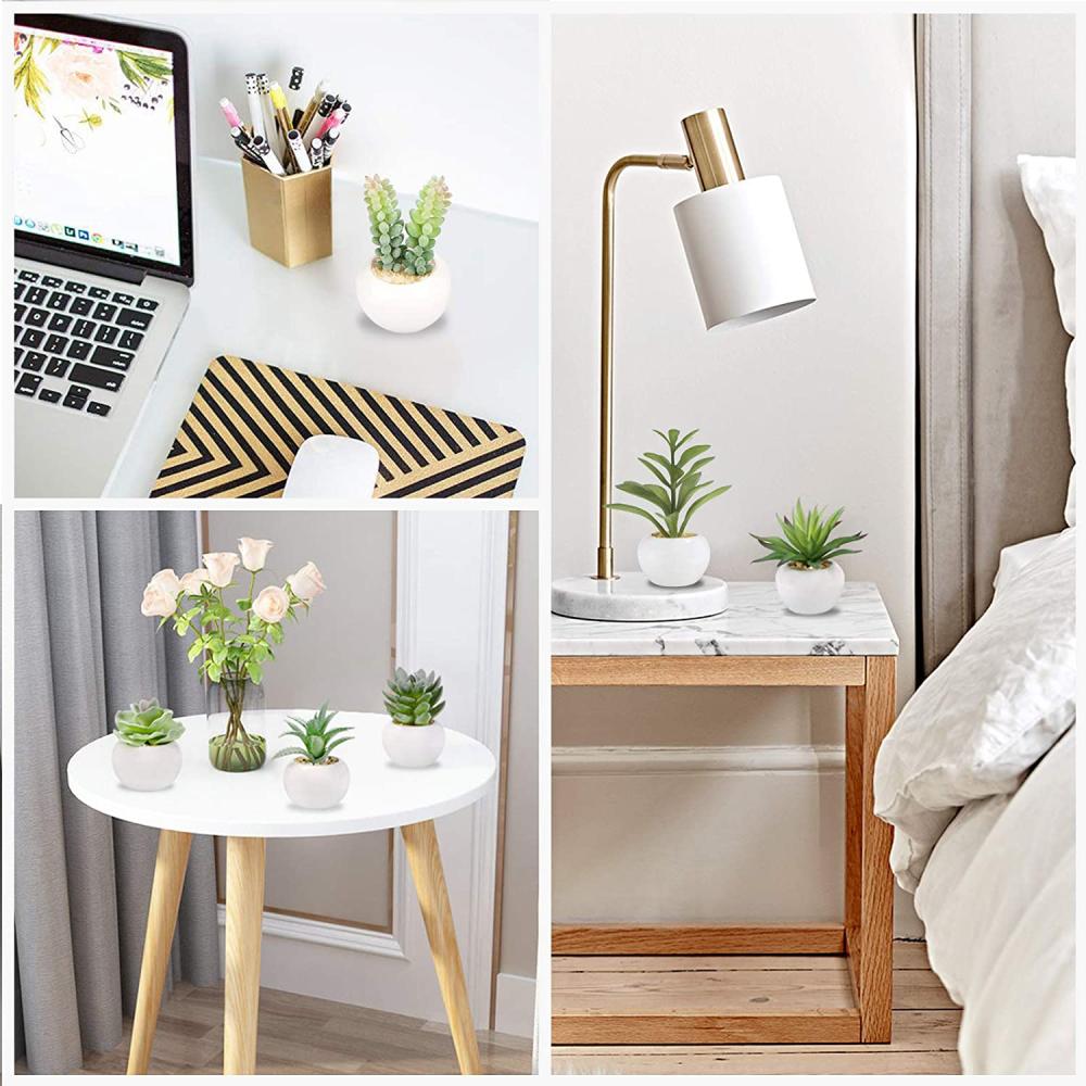 Artificial Succulent Plants: image 2