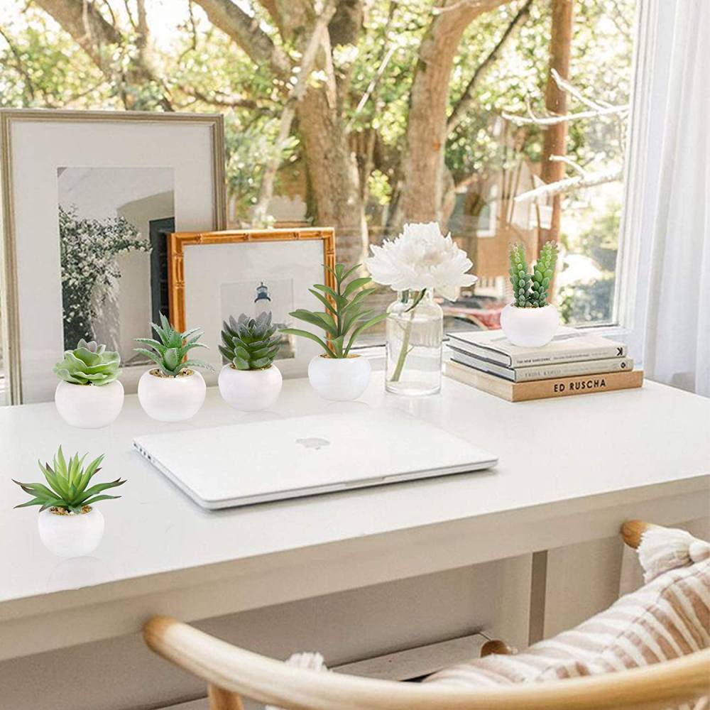 Artificial Succulent Plants: image 4