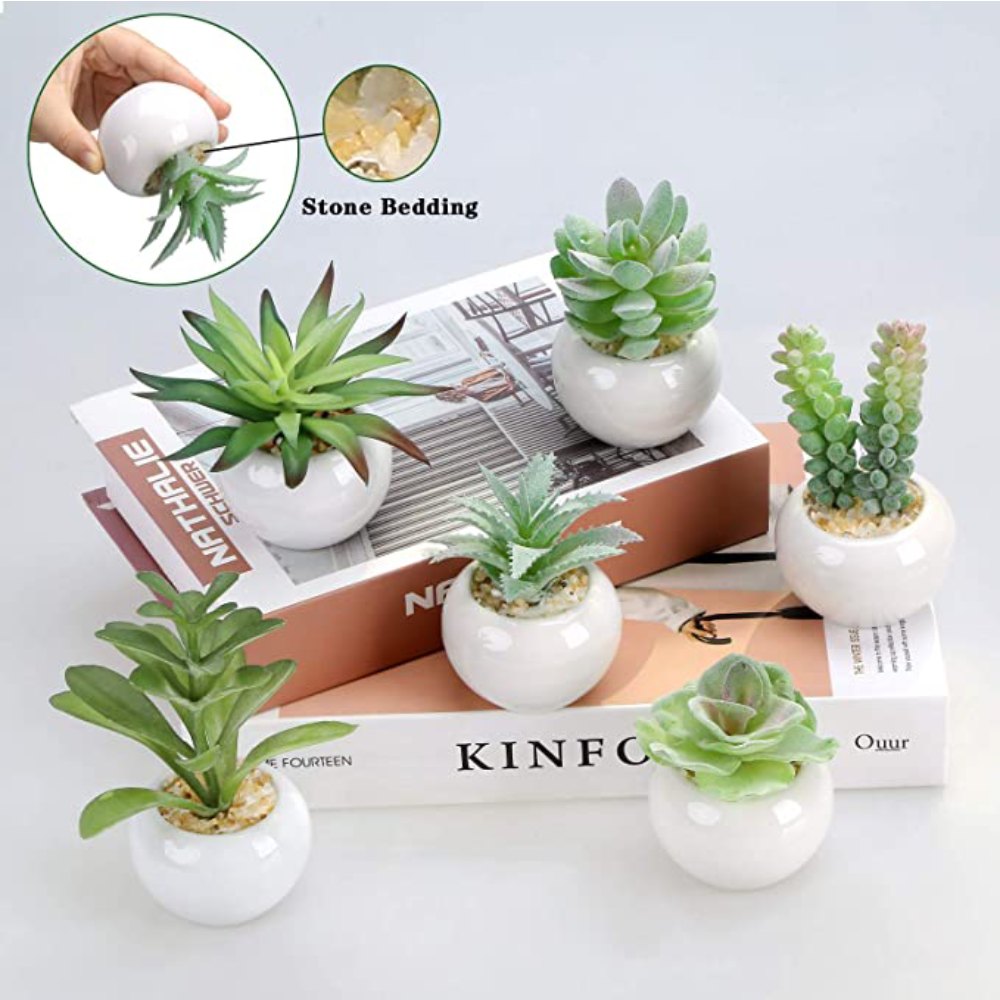 Artificial Succulent Plants: image 5
