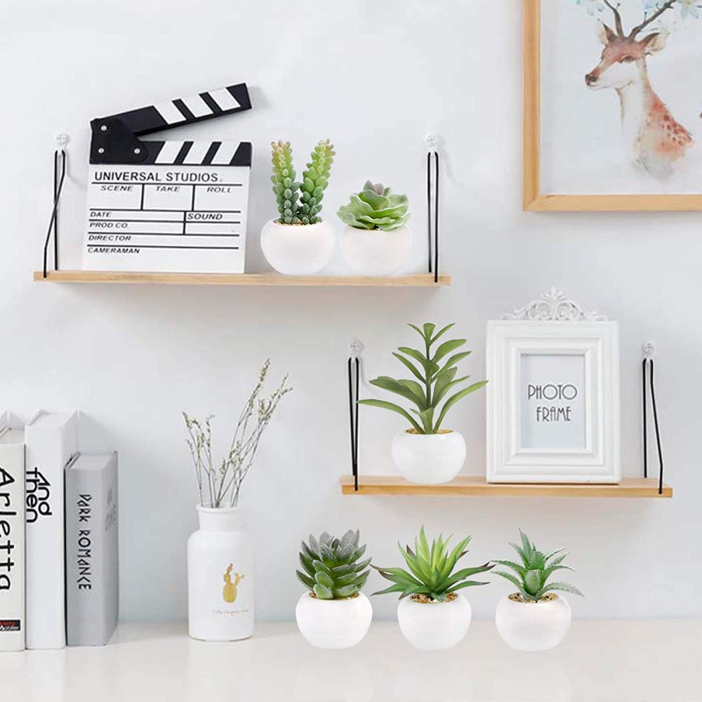 Artificial Succulent Plants: image 7