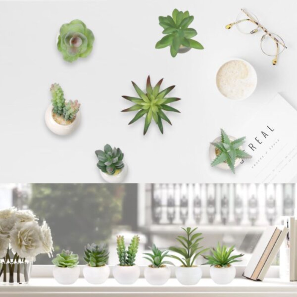 Artificial Succulent Plants: image 8