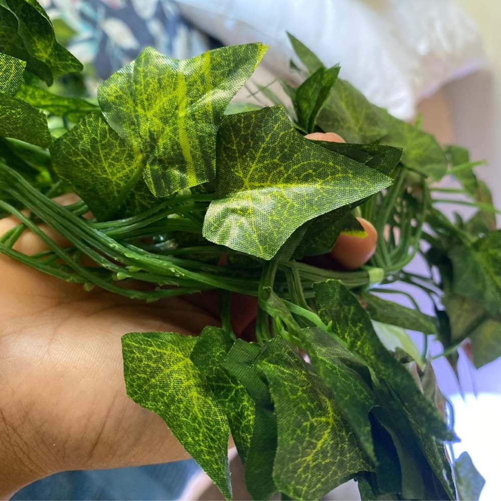Artificial Ivy: image 6